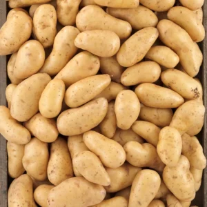 La Pomme de terre BIO