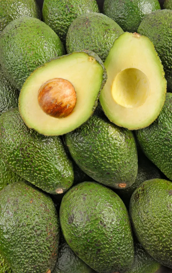 L'Avocat mûr à point