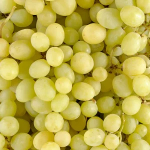 Le Raisin blanc BIO