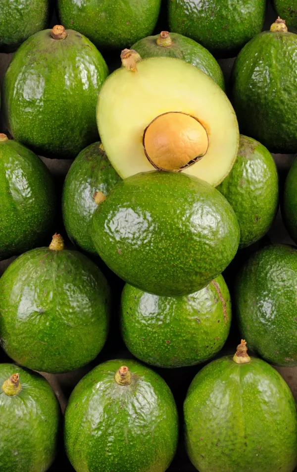 L'Avocat mûr à point