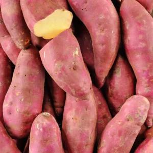 La Patate douce BIO