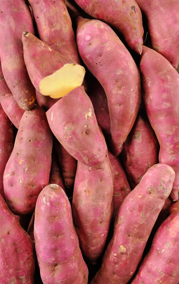 La Patate douce BIO