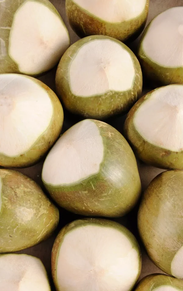 La Noix de coco fraîche