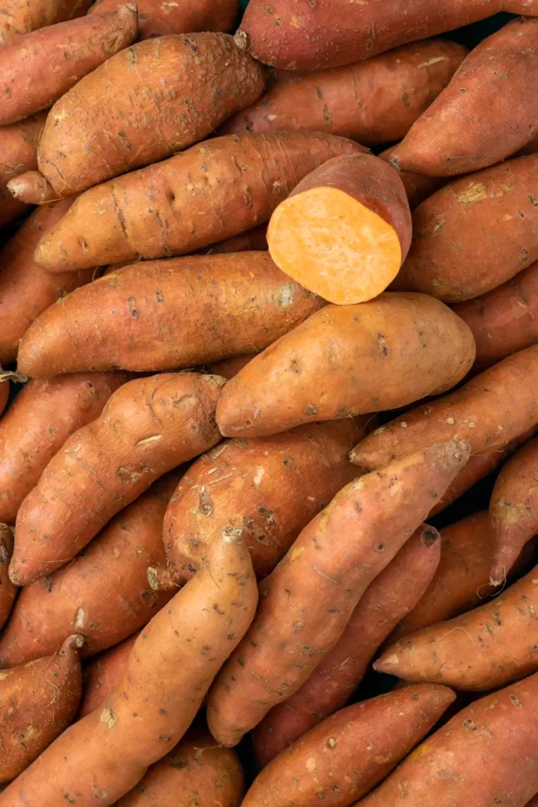 La Patate douce BIO