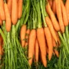 La Carotte BIO