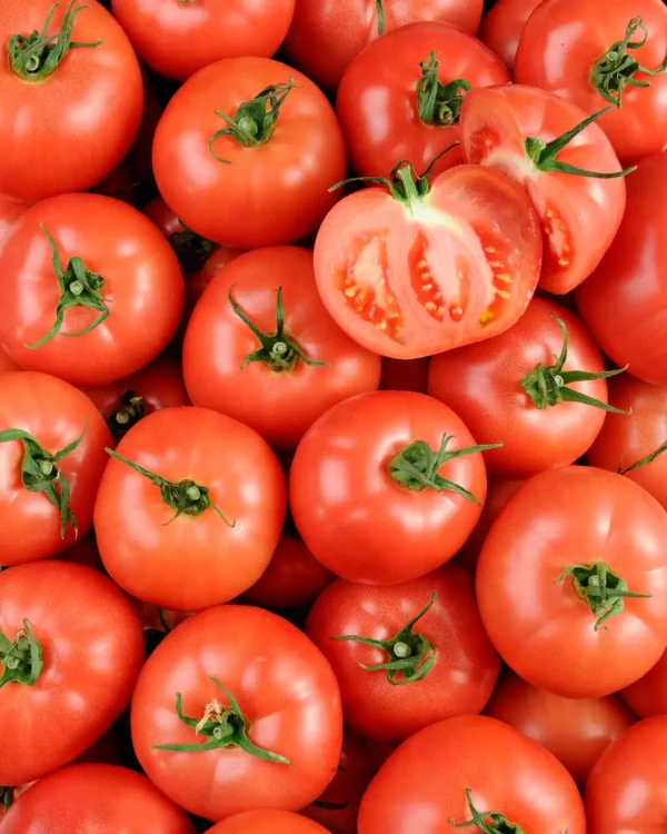 La tomate fraîche